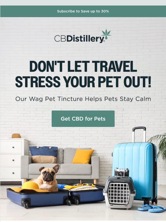 Traveling with (or without) your pet this summer?