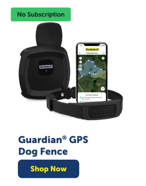 Shop Guardian GPS Dog Fence