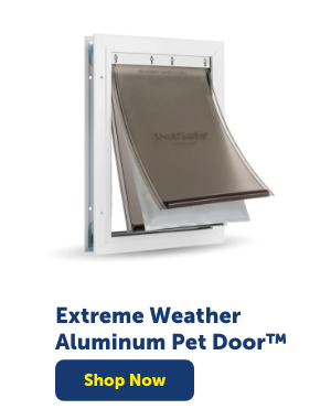 Shop Extreme Weather Aluminum Pet Door