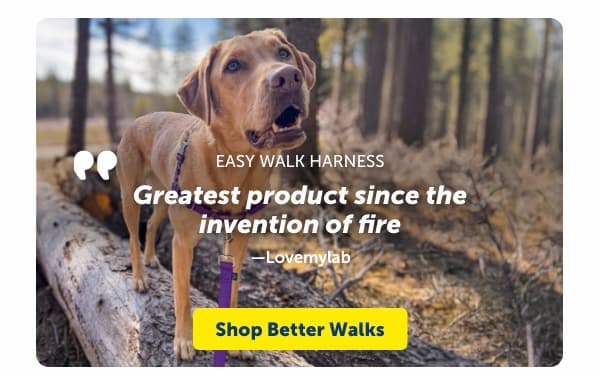 Shop the Best-Selling Easy Walk Harness