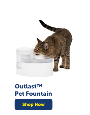 Shop Outlast Pet Fountain
