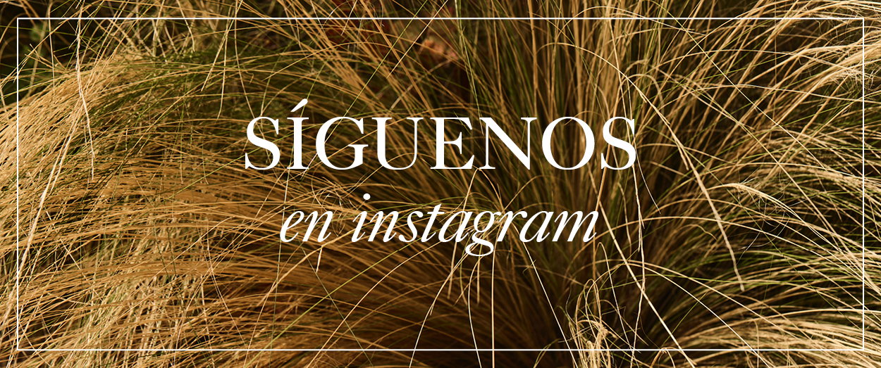 Siguenos
