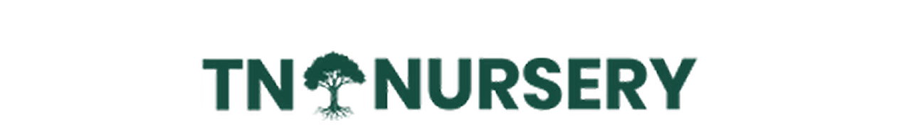 TN Nursery
