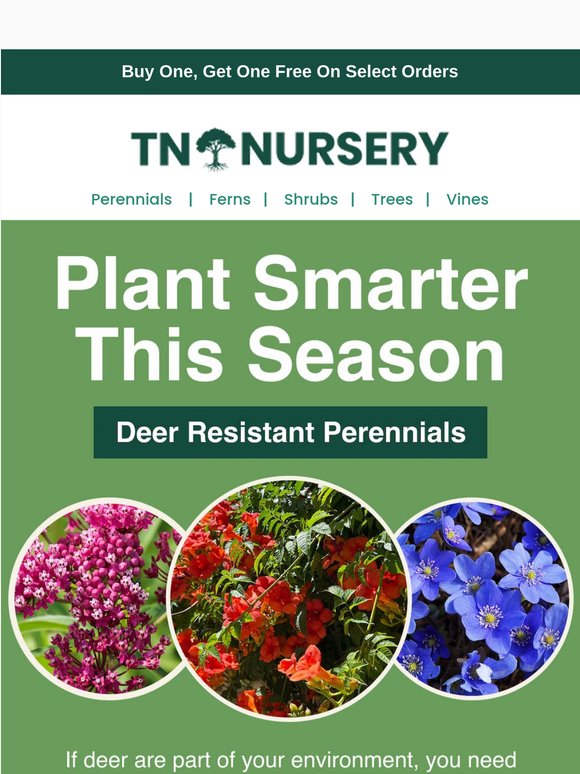 Stop Deer from Ruining Your Yard
