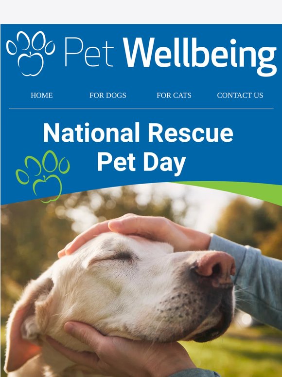 Celebrating National Pet Rescue Day 🐾