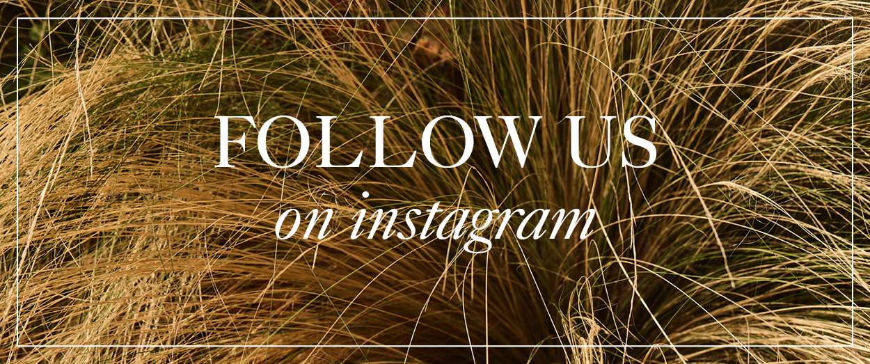 Follow us