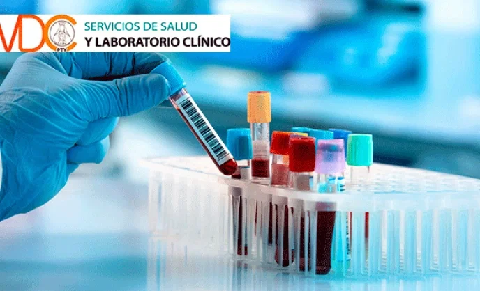 Servicios de Salud y Labora...
