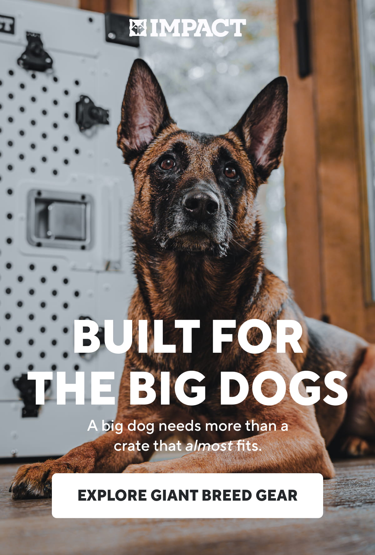 Built For The Big Dogs | Explore Giant Breed Gear