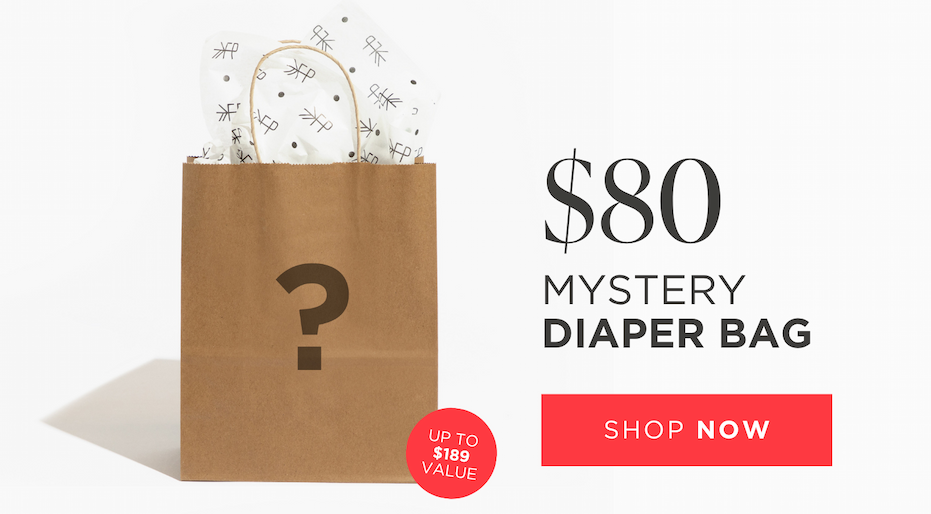 Mystery Diaper Bag