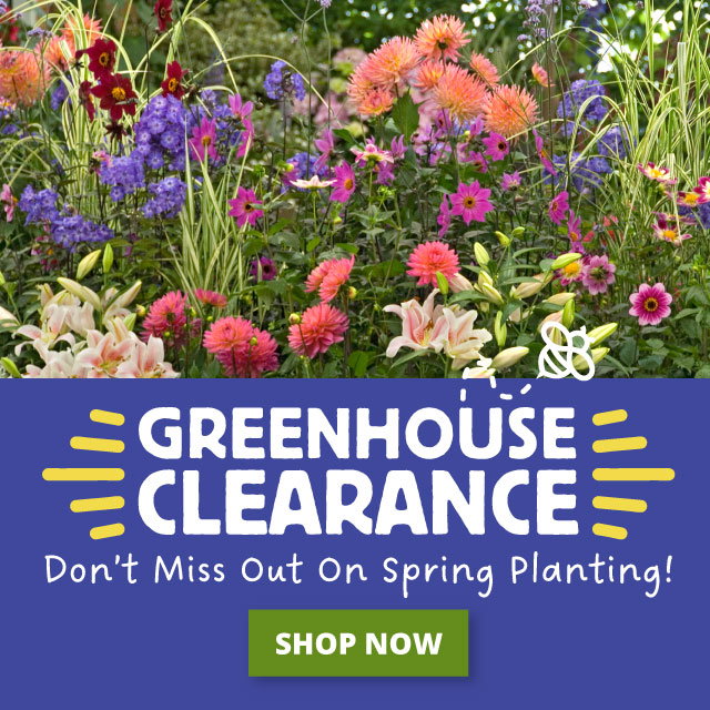 Final week to order plants for spring delivery