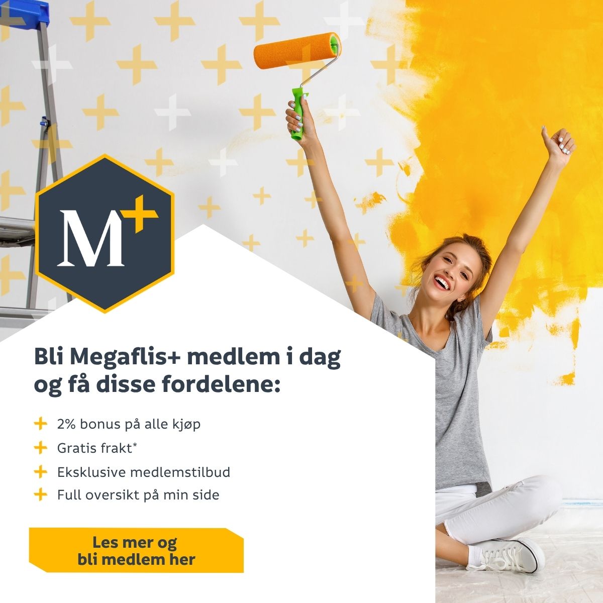 https://www.megaflis.no/kundeklubb