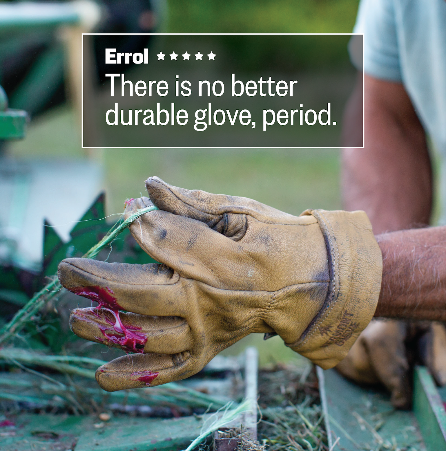 Errol ***** "There is no better durable glove, period."