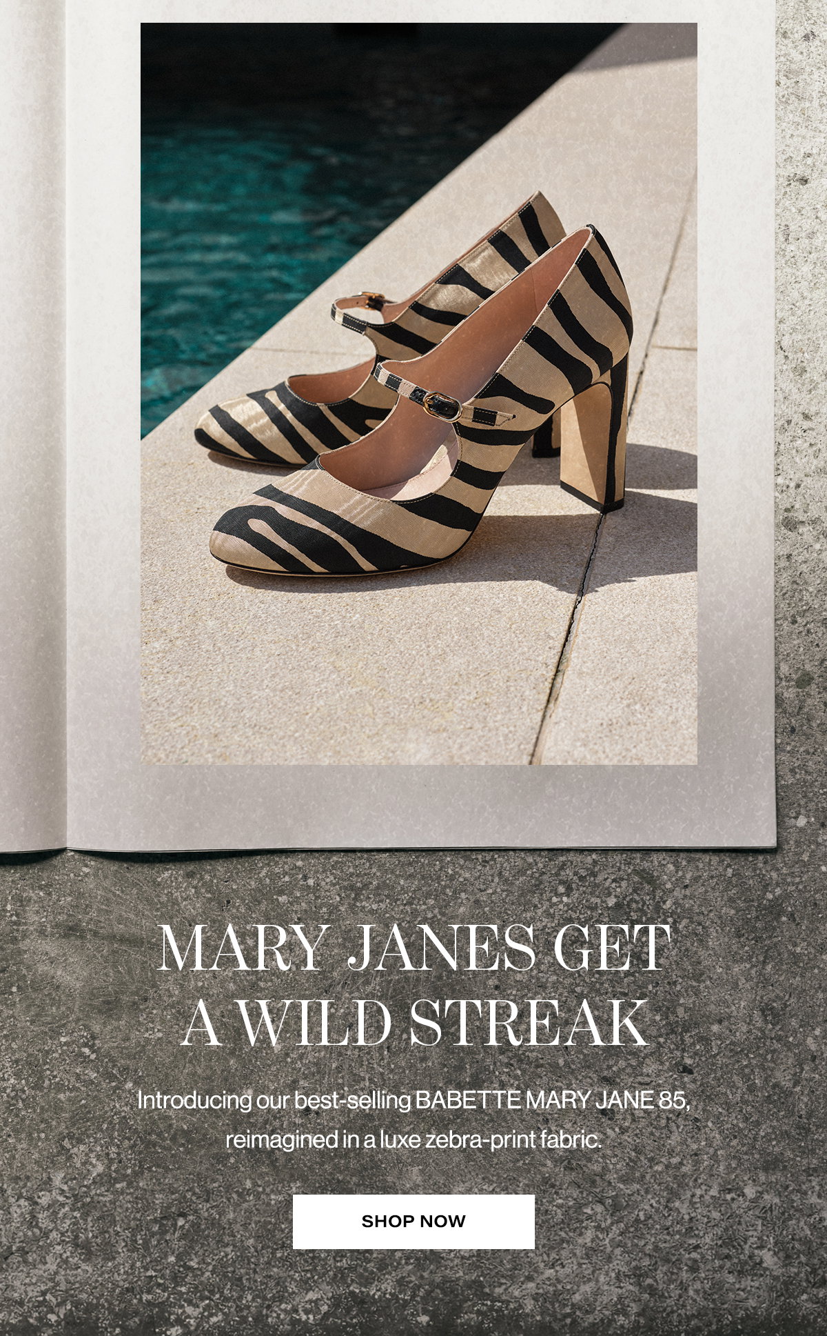 Mary Janes Get A Wild Streak Introducing Our Best-selling Babette Mary Jane 85, Reimagined In A Luxe Zebra-print Fabric. | Shop Now