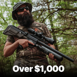 Over $1,000