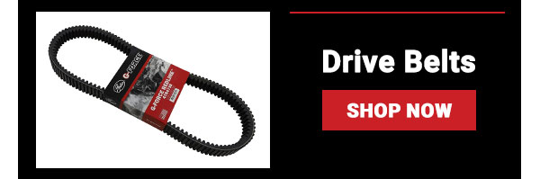 Drive Belts