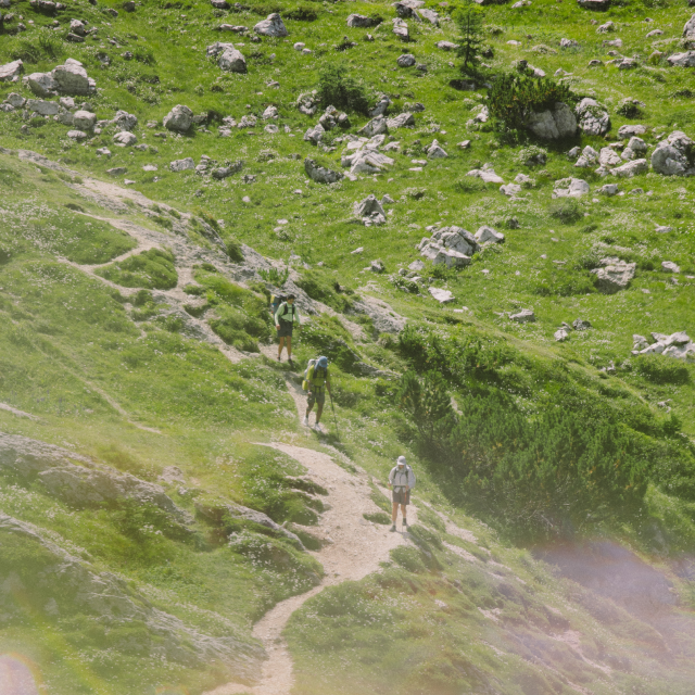 Hikers on trail