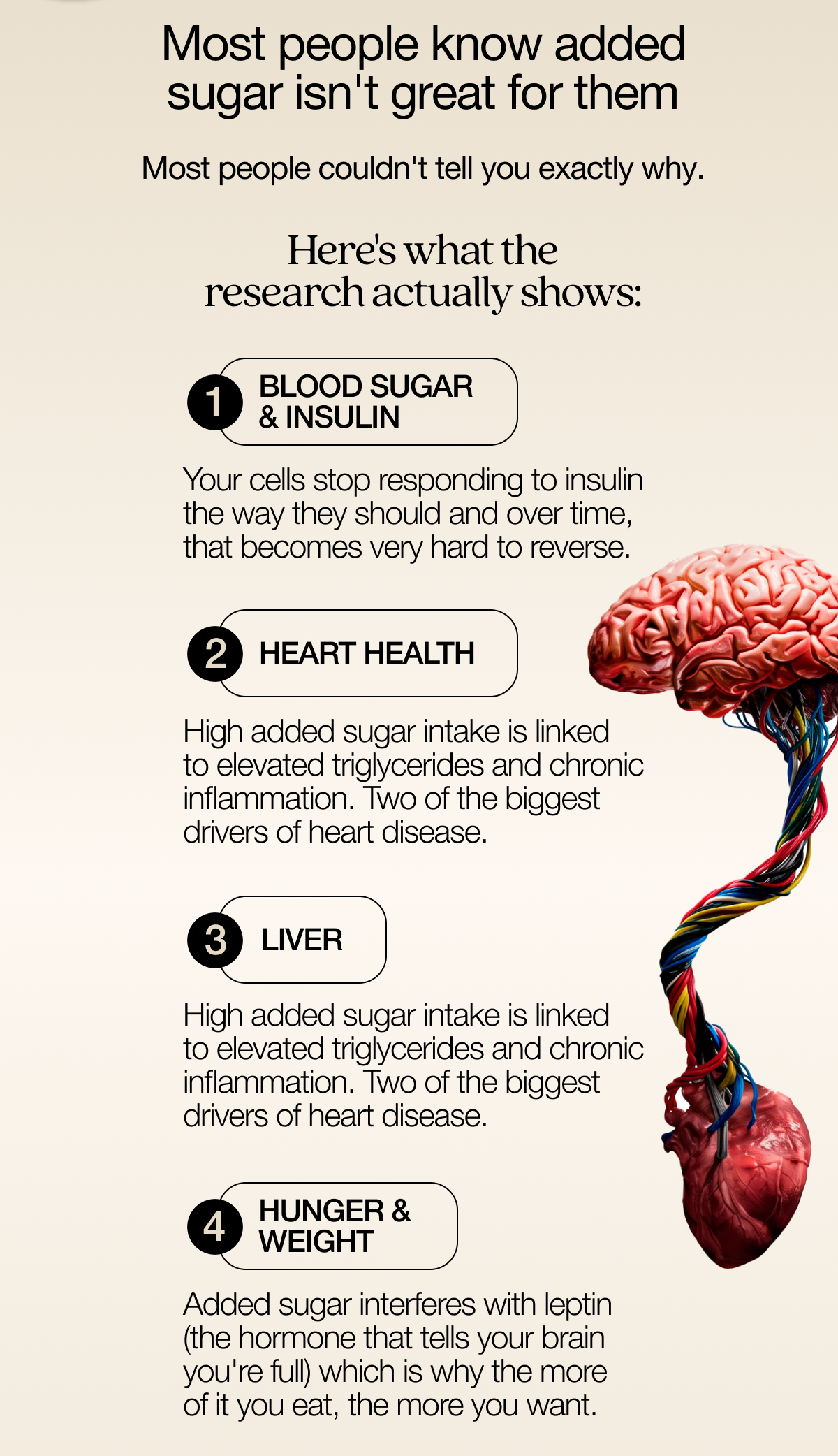 Most people know added sugar isn't great for them. Most people couldn't tell you exactly why.   Here's what the research actually shows: Blood Sugar & Insulin: Your cells stop responding to insulin the way they should and over time, that becomes very hard to reverse. Heart Health: High added sugar intake is linked to elevated triglycerides and chronic inflammation. Two of the biggest drivers of heart disease Liver: Excess fructose gets converted directly into liver fat, the same process behind non-alcoholic fatty liver disease. Hunger & Weight: Added sugar interferes with leptin (the hormone that tells your brain you're full) which is why the more of it you eat, the more you want.