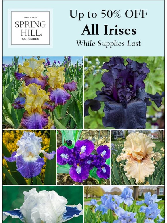 SALE | Take up to 50% OFF Irises