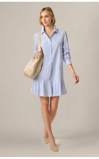 Long Sleeve Embroidered Hem Hailey Dress In Blue White