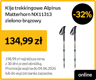 Kije trekkingowe Alpinus Matterhorn NX11313 zielono-brązowy