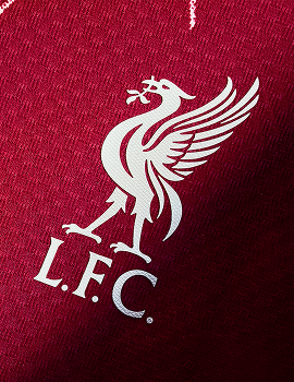 Liverpool Crest Detail