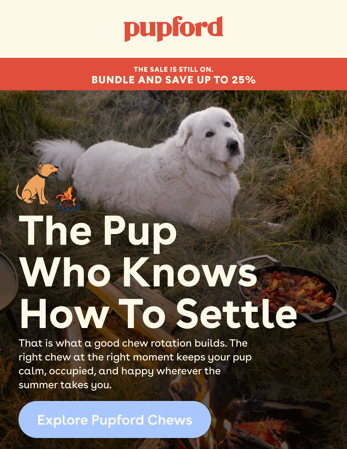 Explore Pupford chews