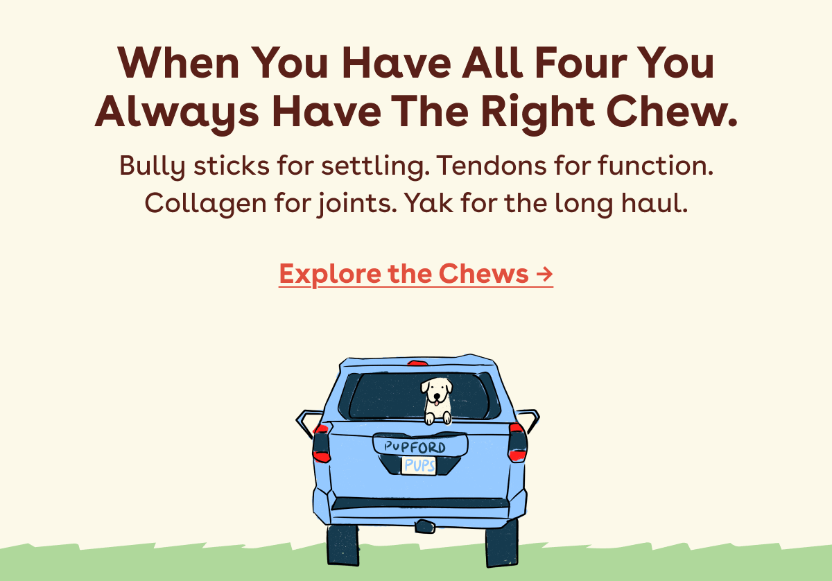 Explore the chews 