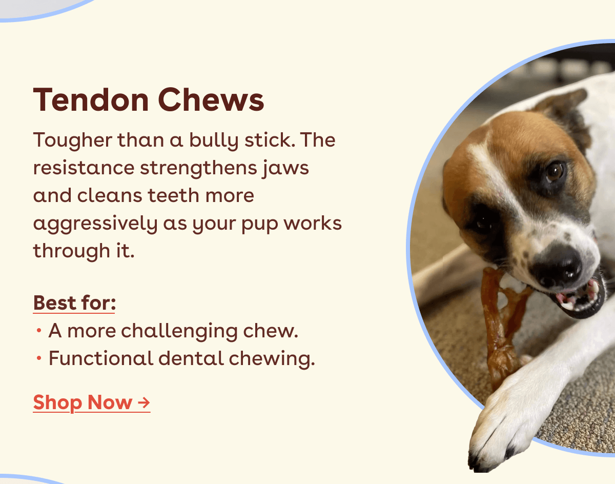 Tendon Chews 
