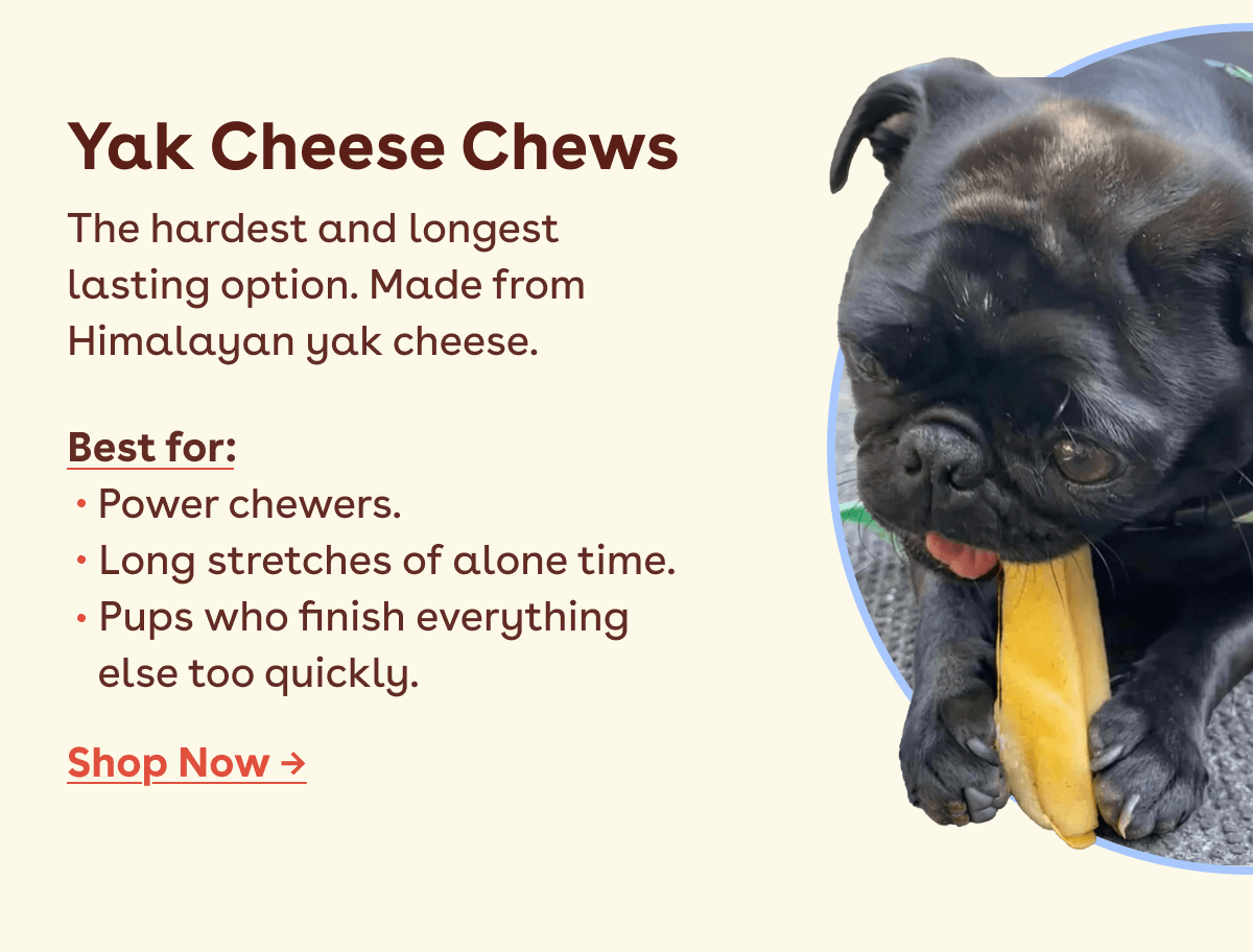 Yak Cheese chews 