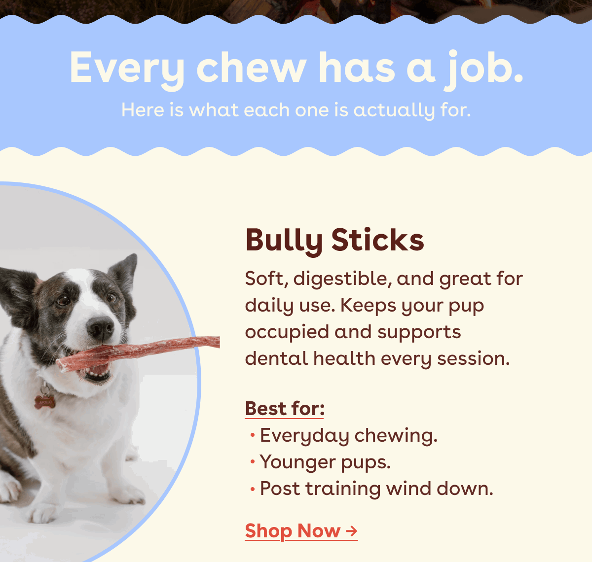 Bully Sticks 