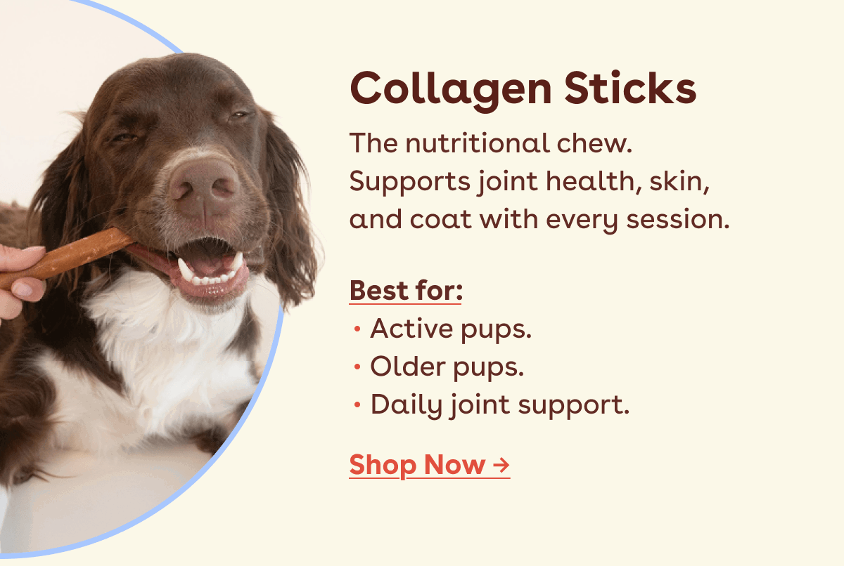 Collagen Sticks
