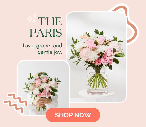 The Paris