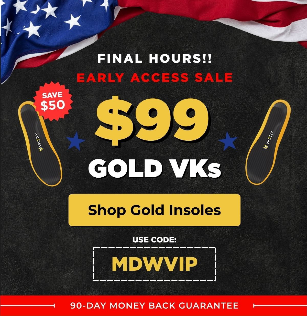Last Day Early Access Sale - $99 Gold VKs 