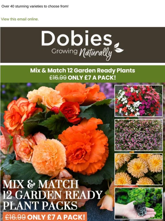 Garden Ready Plant Packs ONLY £7 A Pack! Mix & Match Special