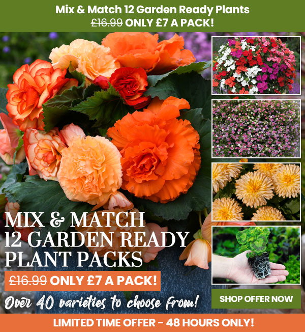 Garden Ready Mix & Match