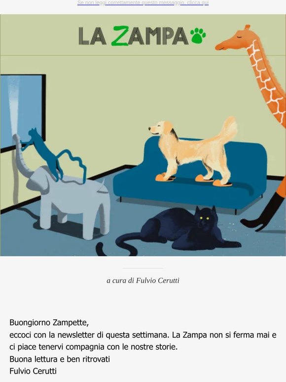 Ritornano le Academy - Il cane "fantasma" di Valverde - Lenny, Momo 2.0, Rosy e Cecilia cercano casa