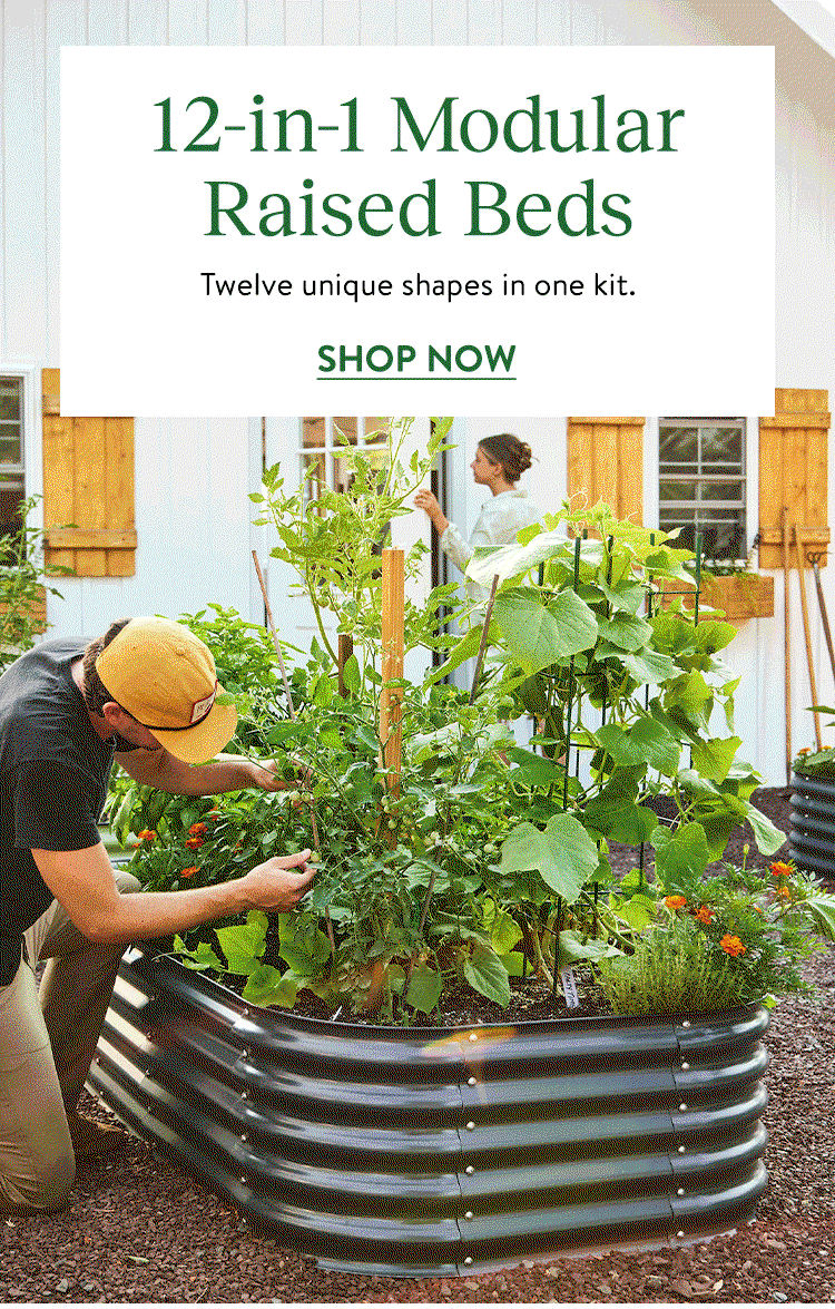 12-in-1 Galvanized Raised Bed