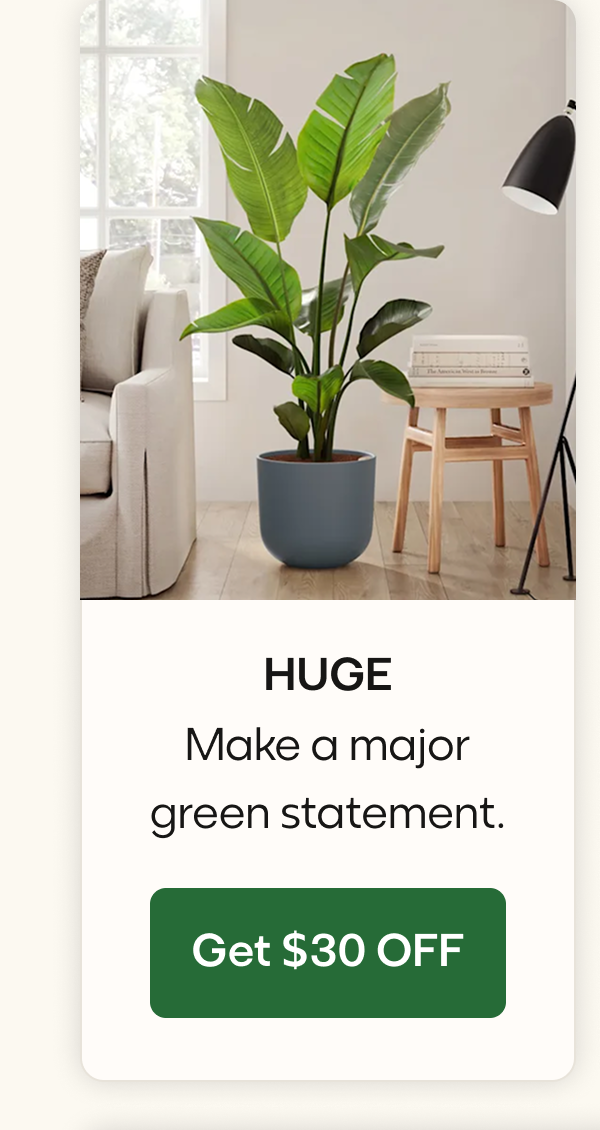 HUGE