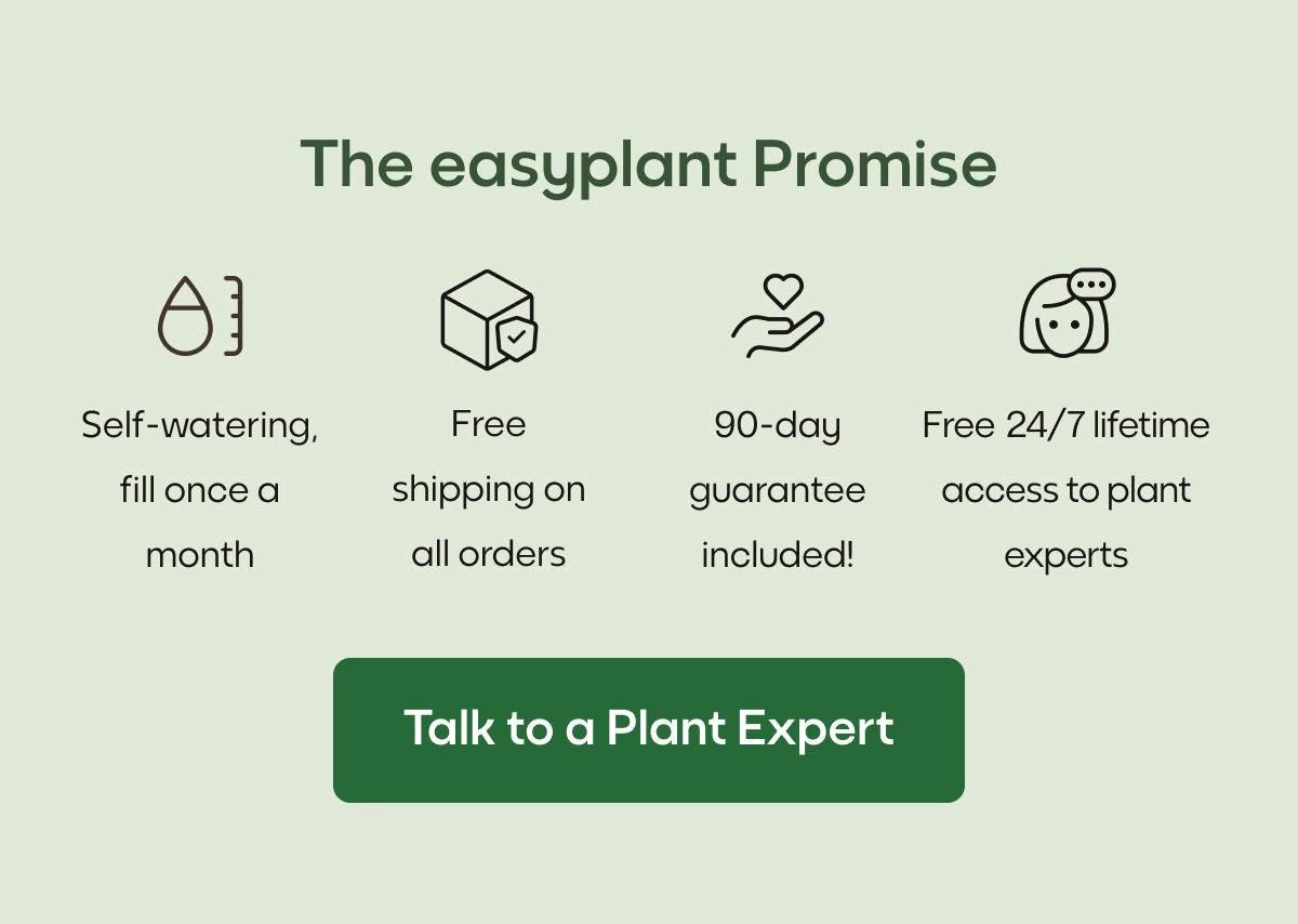 The easyplant Promise