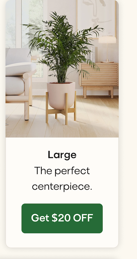 Large