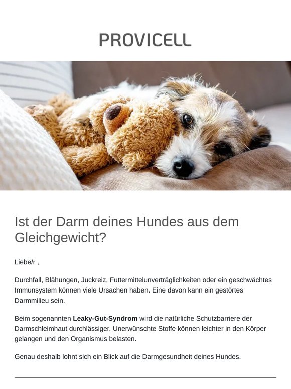 Partner: Zitat und Landingpage