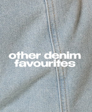 DENIM EDIT