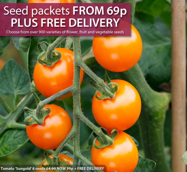 Seed sale