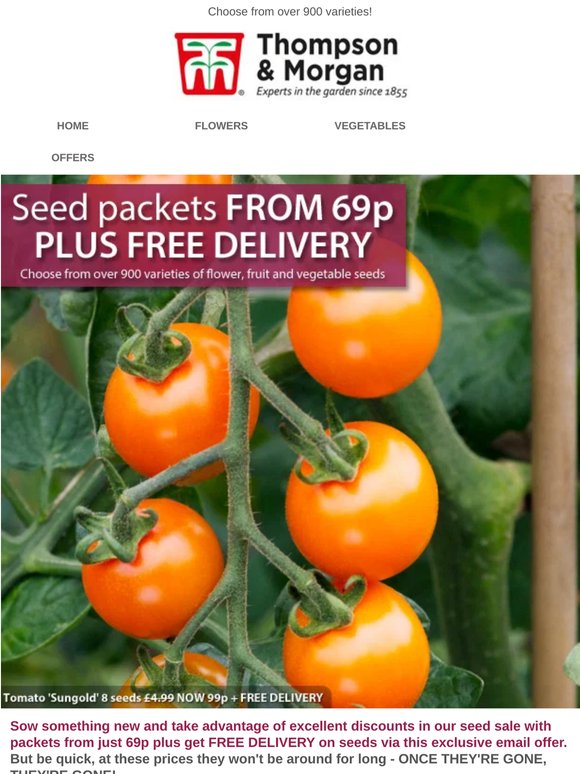 SEED PACKETS from 69p EACH + FREE DELIVERY!
