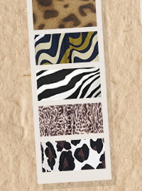Animal Print
