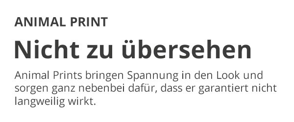 Animal Print - Nicht zu übersehen