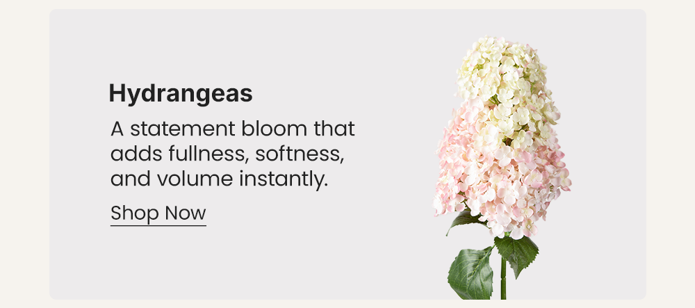Hydrangeas