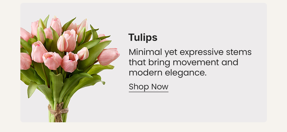 Tulips