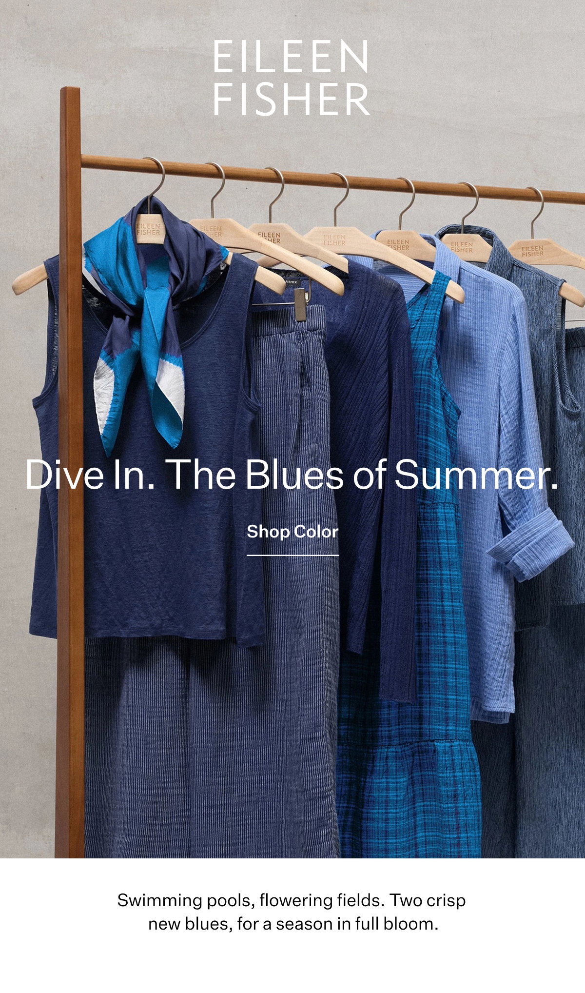 Dive In. The Blues of Summer. Shop Color