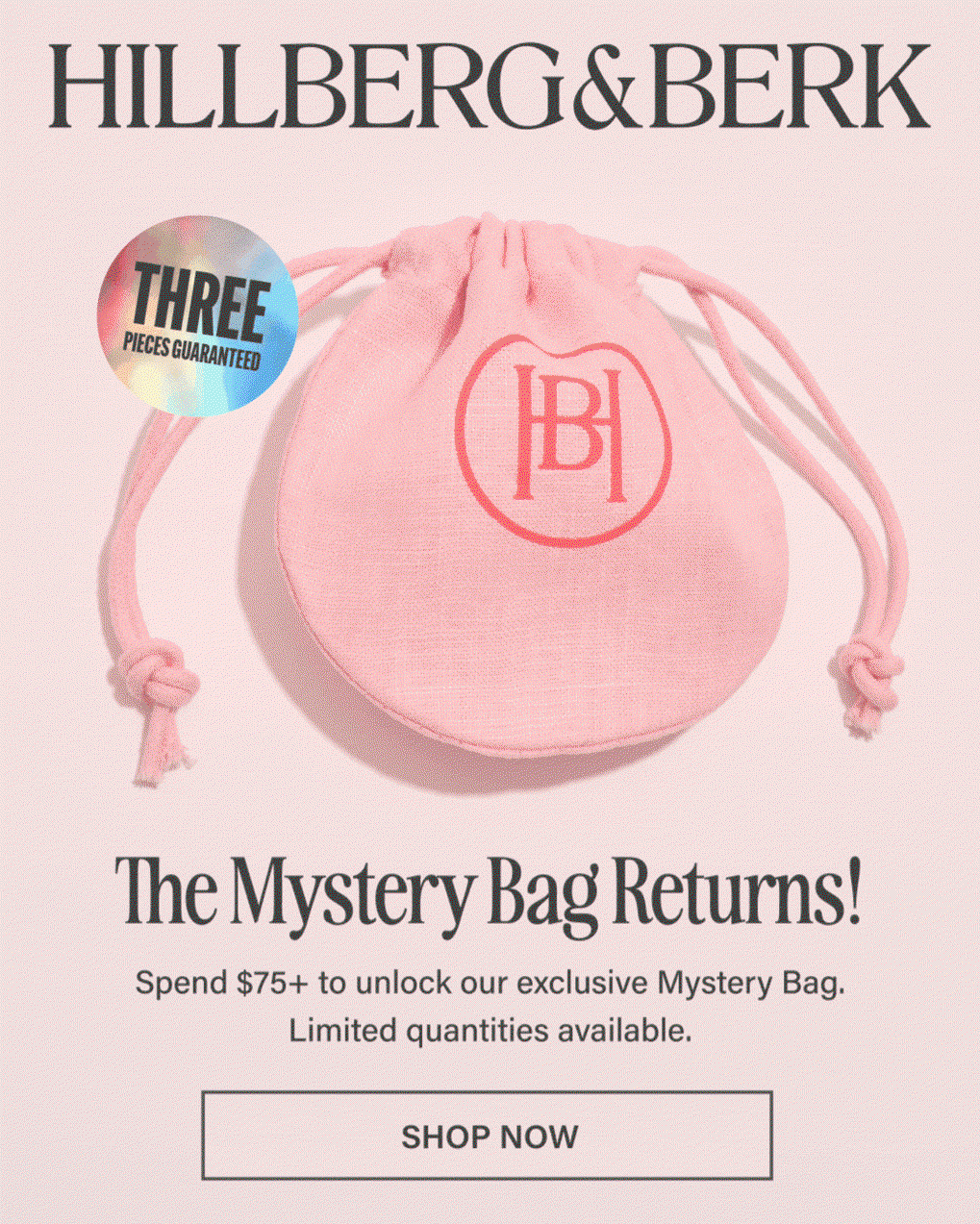 Mystery Bag Returns